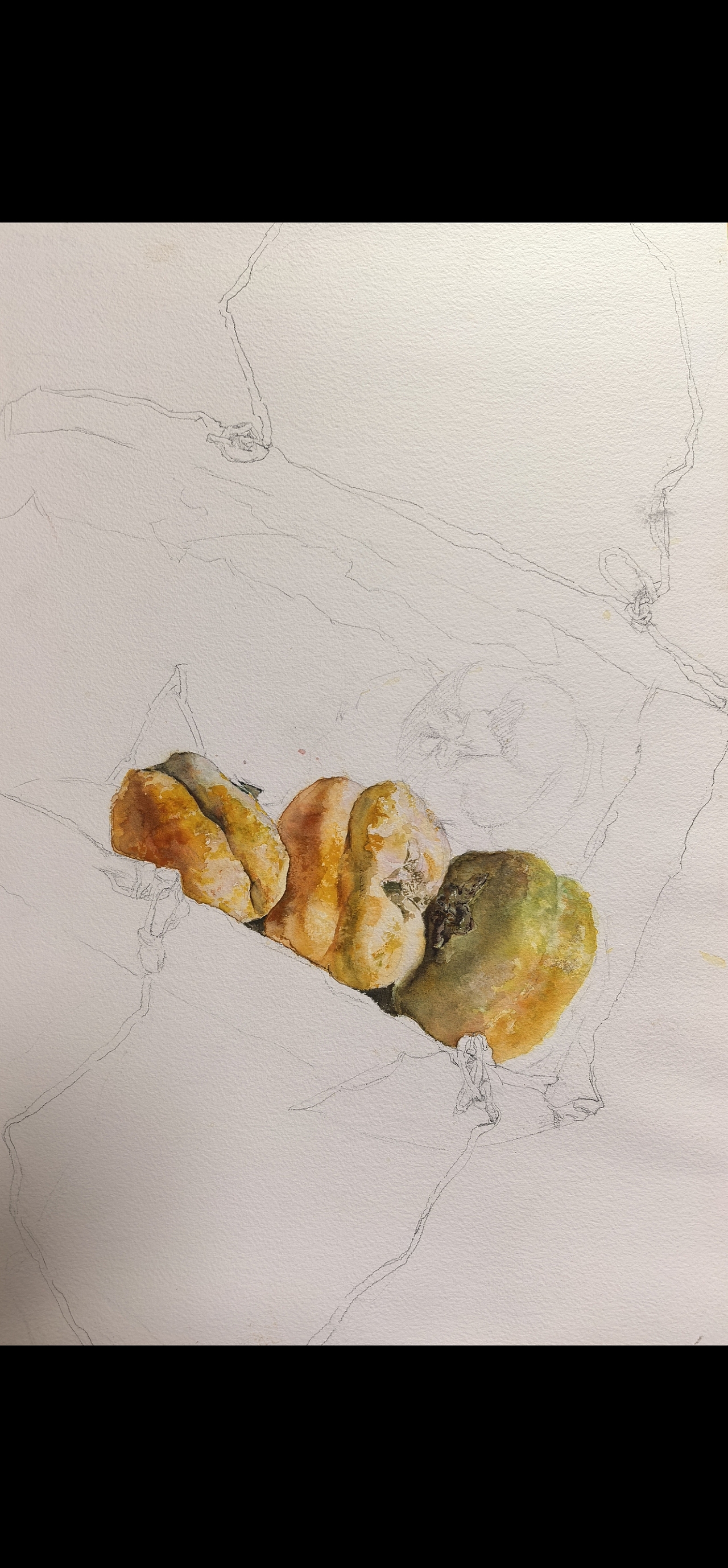 【奶奶家的柿子】（图ZNDAyOTA5MDI4） - 绘画 - 站酷设计师我是布瓜原创素材 - 站酷ZCOOL