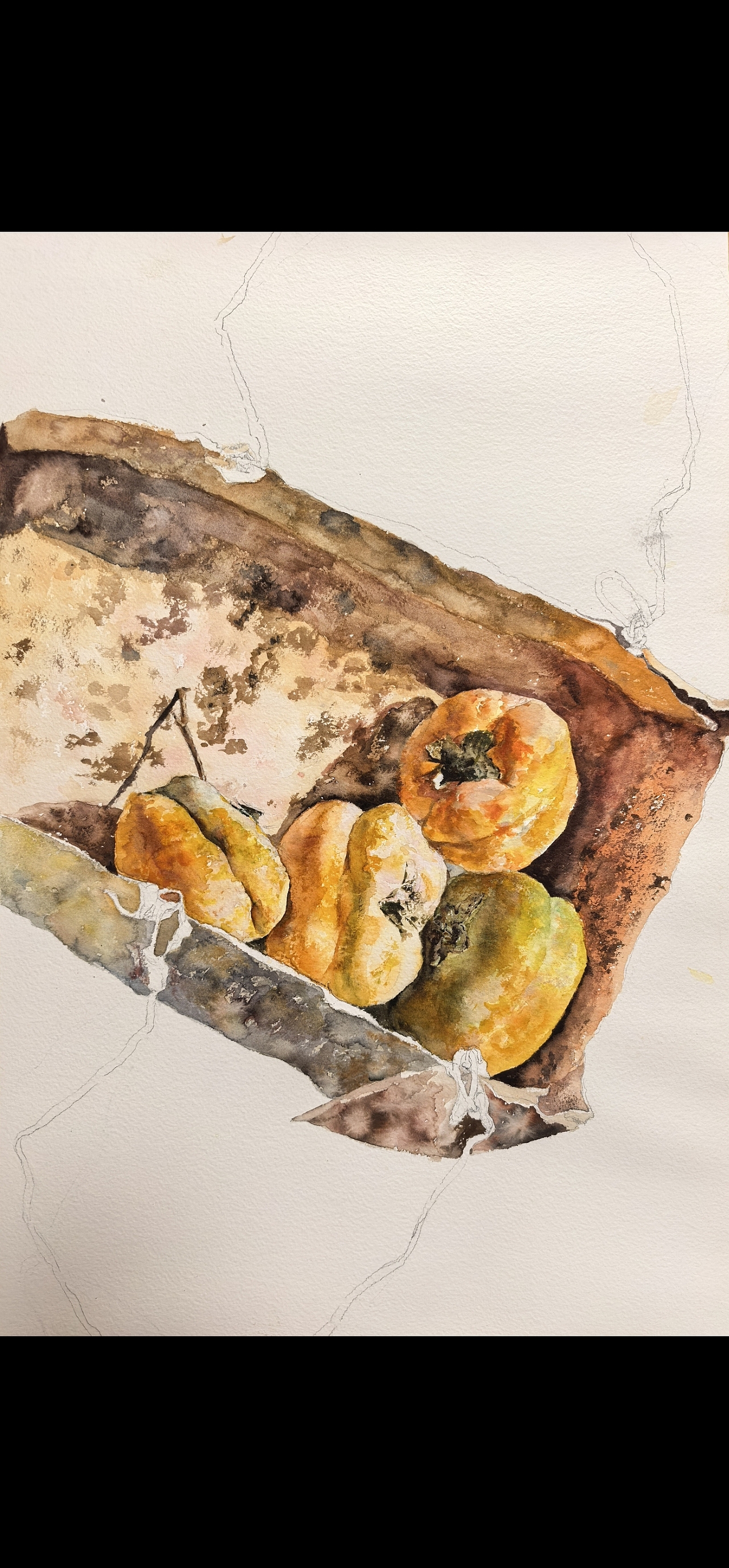 【奶奶家的柿子】（图ZNDAyOTA5MDM2） - 绘画 - 站酷设计师我是布瓜原创素材 - 站酷ZCOOL