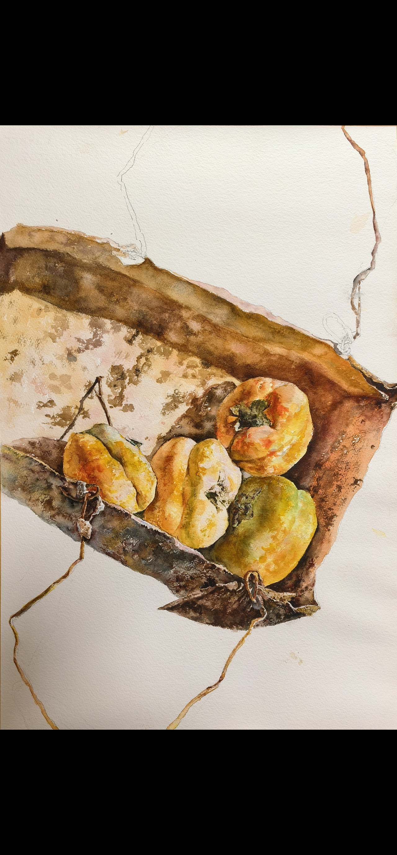 【奶奶家的柿子】（图ZNDAyOTA5MDQw） - 绘画 - 站酷设计师我是布瓜原创素材 - 站酷ZCOOL