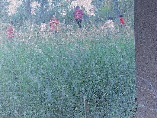 抓点童年碎片（个人主页-ZNzMxOTEwNjg=） - 人文/纪实摄影 - 站酷设计师沁芽茶和猫头鹰原创素材 - 站酷ZCOOL