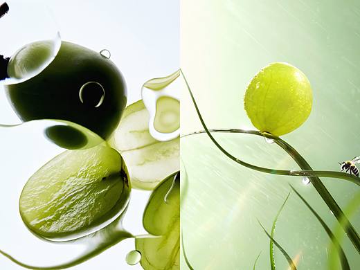 青提肖像 | 微观世界的生命张力（个人主页-ZNzMxOTEzNTI=） - 产品摄影 - 站酷设计师龙四1999原创素材 - 站酷ZCOOL