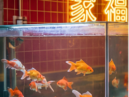 近期設(shè)計(jì)渲染作品