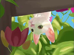 iPad绘画—速涂—临摹