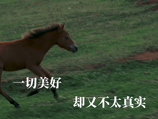 25岁 我开始学着感受世界