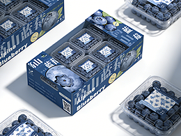 山与雾・高山蓝莓包装设计