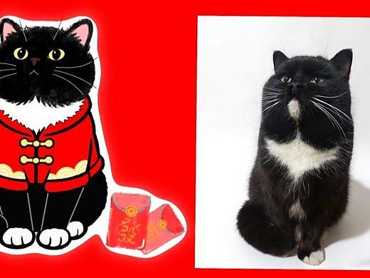 宠物原创小贴纸