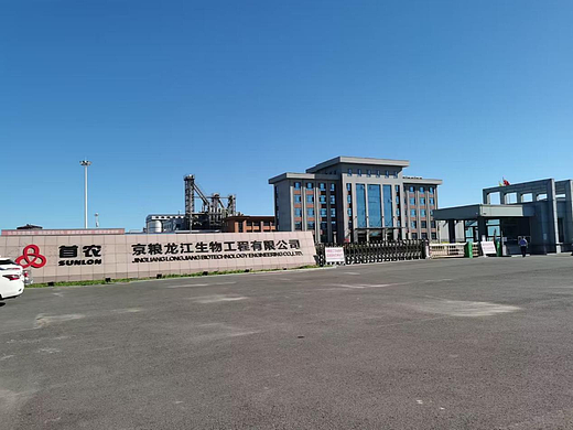 聚焦2026玉米淀粉市场：这些厂商引领创新风潮