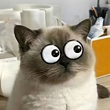 用戶頭像