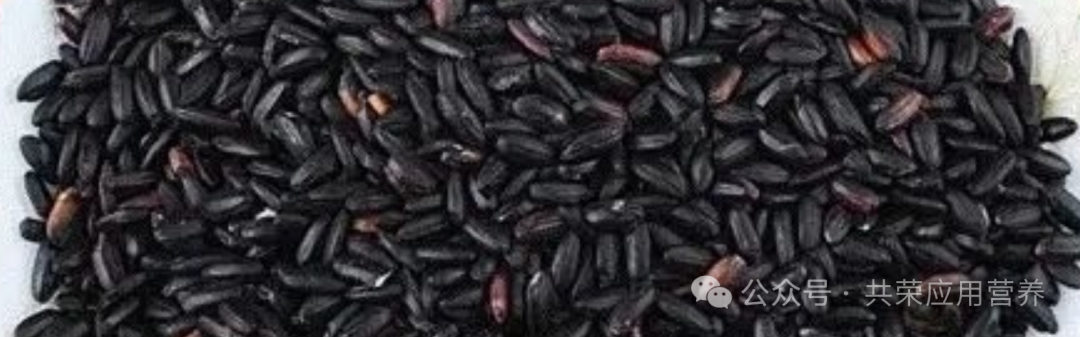 独家揭秘！Nature子刊证实：想要记忆力开挂？这份“黑金食谱”请收好！（图ZMTU0Mzc1Njg=） - 资讯 - 站酷设计师Z154682203原创素材 - 站酷ZCOOL