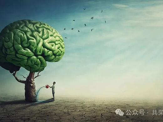 独家揭秘！Nature子刊证实：想要记忆力开挂？这份“黑金食谱”请收好！