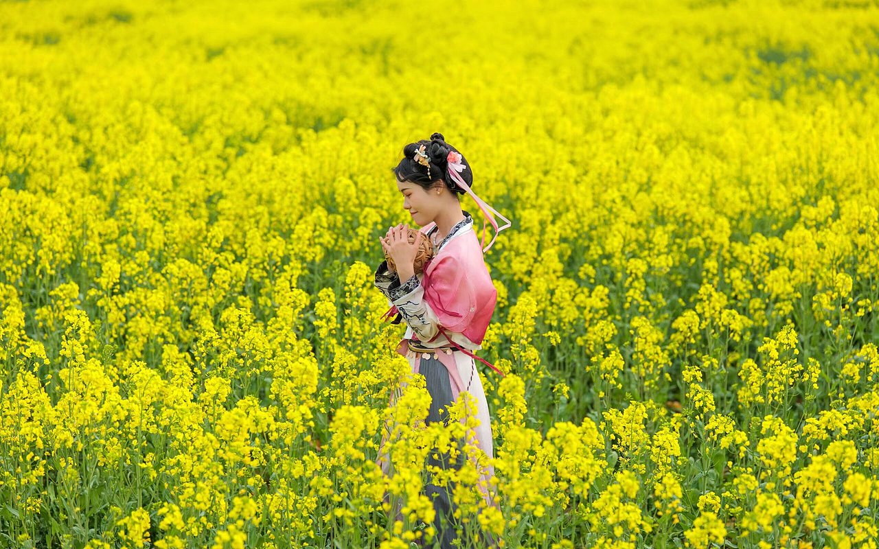 春日油菜花风景（图ZNDAyOTg1NDEy） - 人像摄影 - 站酷设计师大肥猫时光机原创素材 - 站酷ZCOOL