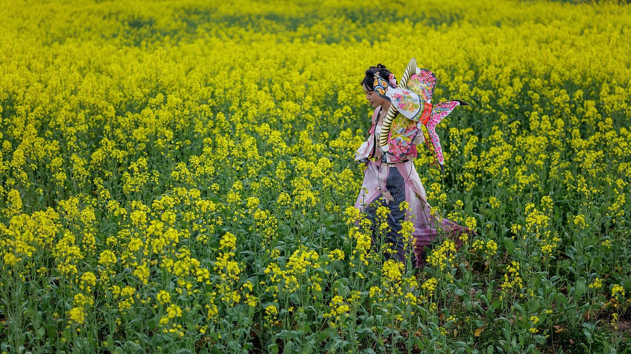 春日油菜花风景（图ZNDAyOTg1NDMy） - 人像摄影 - 站酷设计师大肥猫时光机原创素材 - 站酷ZCOOL