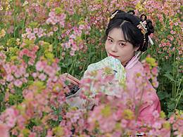 春日油菜花风景