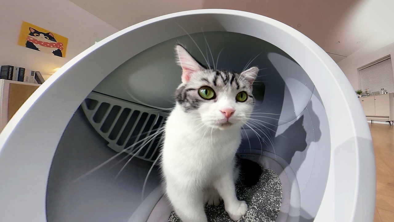 派兮智能可视猫砂盆TVC（图ZNDAyOTkxMzAw） - 宣传片 - 站酷设计师珀珀视觉原创素材 - 站酷ZCOOL