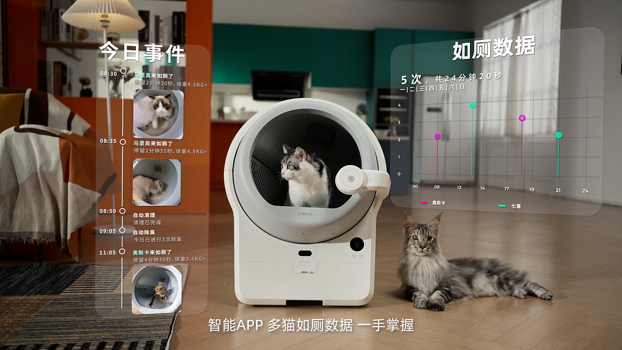 派兮智能可视猫砂盆TVC（图ZNDAyOTkxMzE2） - 宣传片 - 站酷设计师珀珀视觉原创素材 - 站酷ZCOOL