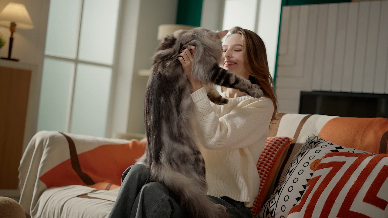 派兮智能可视猫砂盆TVC（图ZNDAyOTkxMzIw） - 宣传片 - 站酷设计师珀珀视觉原创素材 - 站酷ZCOOL