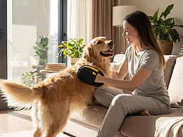 Amazon 亚马逊丨AIGC视频创作丨宠物用品丨除毛手套