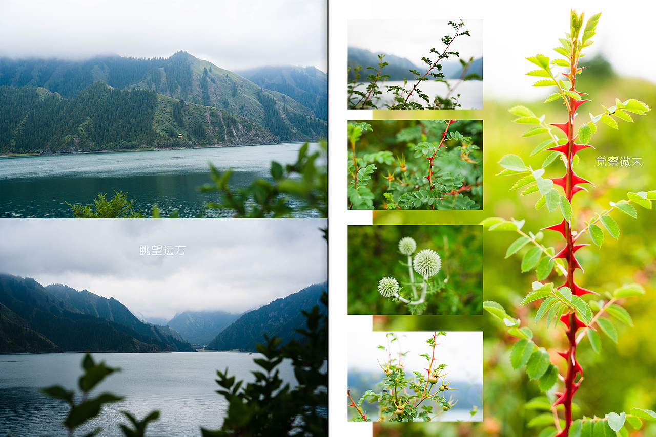 夏天走到新疆去（图ZNDAzMDAzMDI4） - 风光摄影 - 站酷设计师DarkAmber原创素材 - 站酷ZCOOL