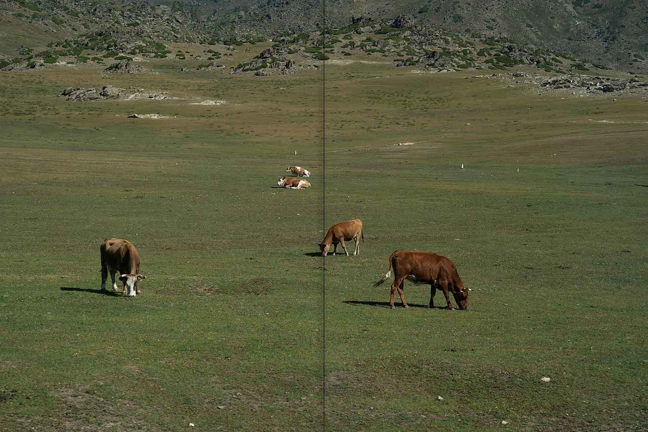 夏天走到新疆去（图ZNDAzMDAzMTU2） - 风光摄影 - 站酷设计师DarkAmber原创素材 - 站酷ZCOOL