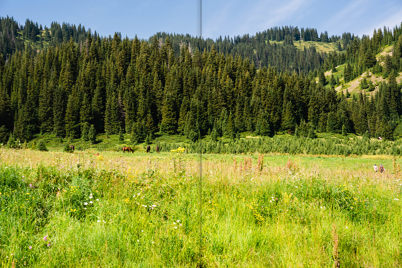 夏天走到新疆去（图ZNDAzMDAzMTYw） - 风光摄影 - 站酷设计师DarkAmber原创素材 - 站酷ZCOOL