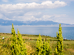 夏天走到新疆去