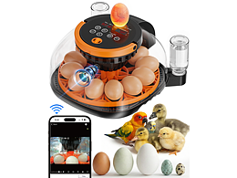 Automatic egg incubator--自動孵蛋器
