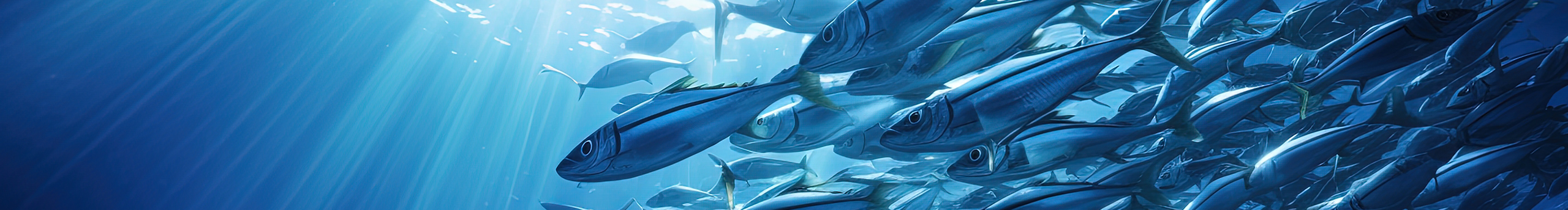 夏周杰_品牌减法的个人主页（封面预览） - 主页封面设置 - 站酷设计师夏周杰_品牌减法原创素材 - 站酷ZCOOL