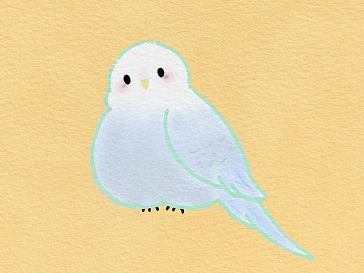 可可爱爱的虎皮鹦鹉。