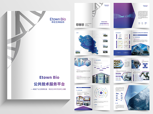 生物医药公司画册设计 | 工作日常