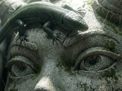 2026年阿荫也有一些新想法