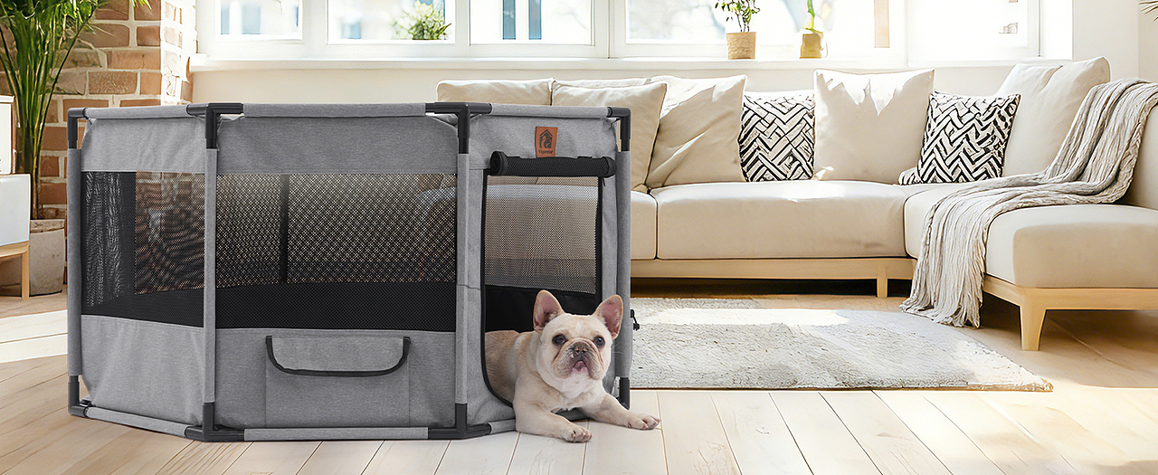 跨境电商主图设计详情排版视频拍摄宠物产品拍照静物（图ZNDAzMDQyNzA4） - 其他平面 - 站酷设计师零晨视觉摄影原创素材 - 站酷ZCOOL