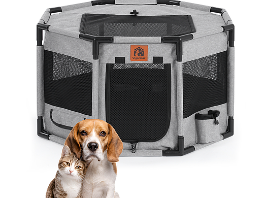 跨境电商主图设计详情排版视频拍摄宠物产品拍照静物