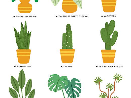 植物扁平插画设计