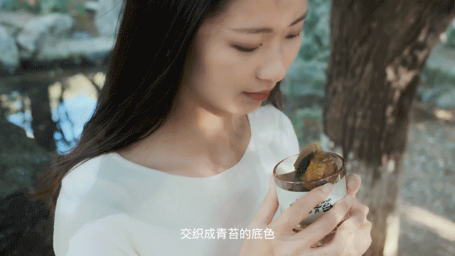 西苔×甚至创意产品情绪短片 -《苔痕旧梦》- 香薰广告（图ZNDAzMDY1MDY4） - 短片 - 站酷设计师甚至创意原创素材 - 站酷ZCOOL