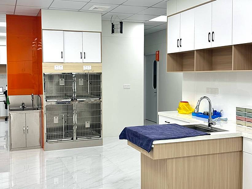 椒江宠物体检选哪家？2026年参考这些因素