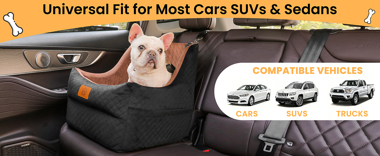 亚马逊主图设计A加设计排版视频拍摄制作页面详情产品（图ZNDAzMDkwNzYw） - 电商 - 站酷设计师零晨视觉摄影原创素材 - 站酷ZCOOL