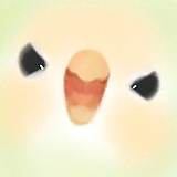 门门爆徒的头像