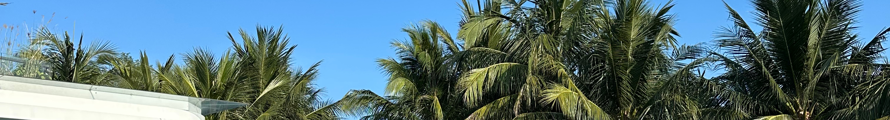 龙樱熏子的个人主页（封面预览） - 主页封面设置 - 站酷设计师龙樱熏子原创素材 - 站酷ZCOOL