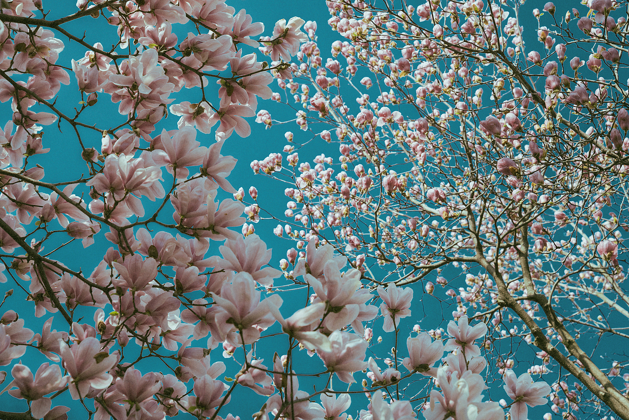 抬头做了一场梦（图ZNDAzMTE3Mjg4） - 风光摄影 - 站酷设计师ROEMWO原创素材 - 站酷ZCOOL