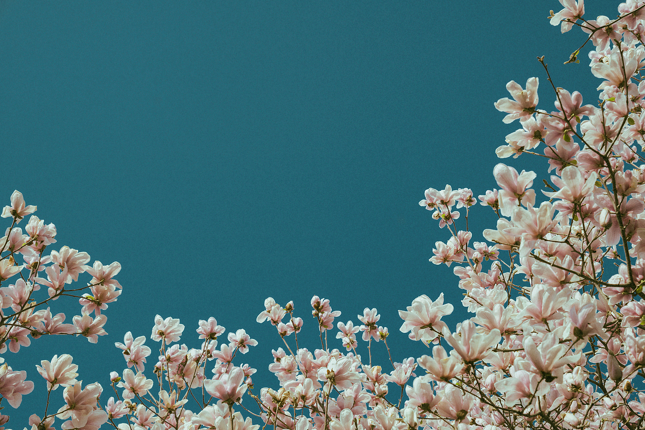 抬头做了一场梦（图ZNDAzMTE3MjQ4） - 风光摄影 - 站酷设计师ROEMWO原创素材 - 站酷ZCOOL