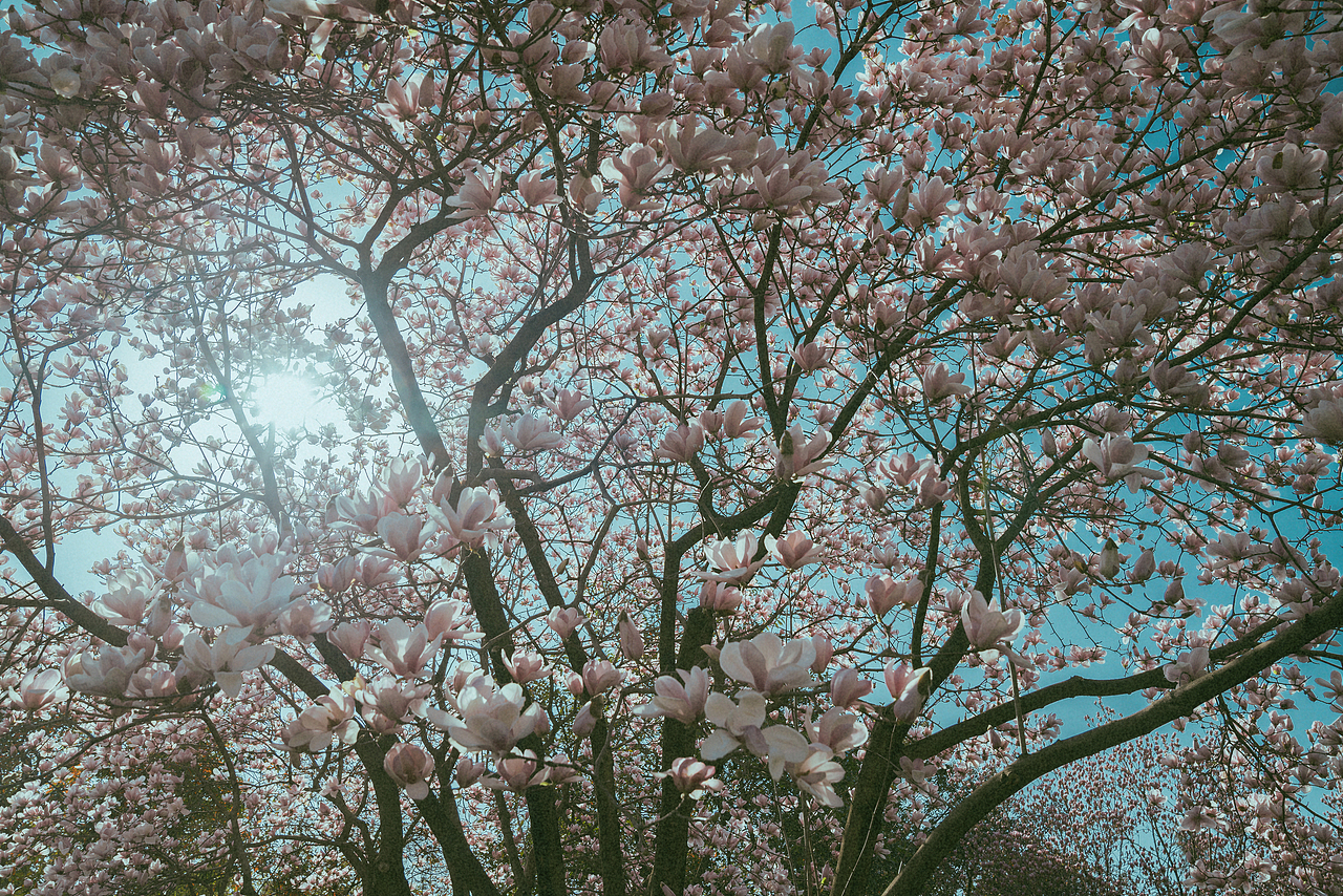 抬头做了一场梦（图ZNDAzMTE3MjY4） - 风光摄影 - 站酷设计师ROEMWO原创素材 - 站酷ZCOOL