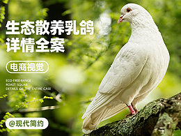 乳鸽×老鸽子 I 电商详情页 I 农产品生鲜肉类 I 排版