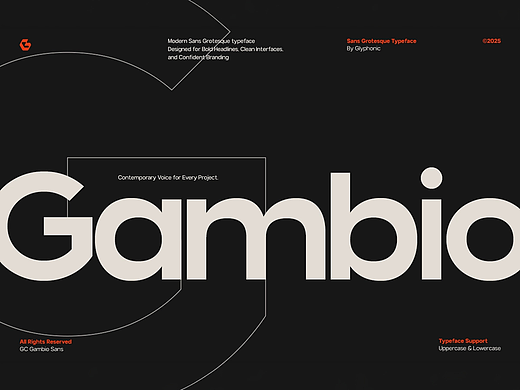 现代粗犷时尚粗体海报封面标题商标logo无衬线英文字体