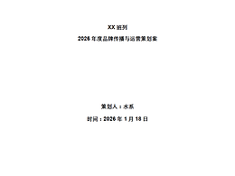 XX策划执行方案