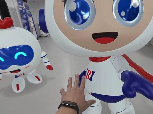 VR AR XR项目