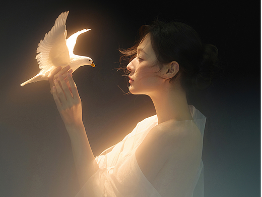 把光，修进灵魂里