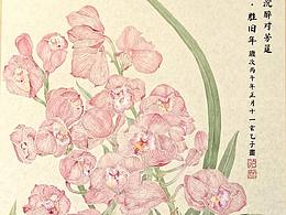 《大花慧兰·福娘·没骨》