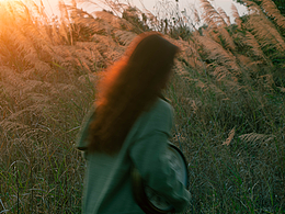 想在黄昏的光线里把时间暂停