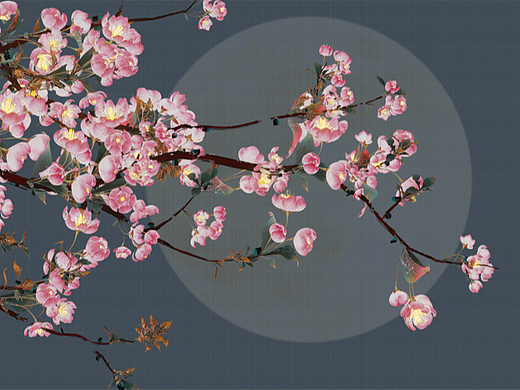 綠肥紅瘦（個(gè)人主頁(yè)-ZNzMyMjAyMjg=） - 動(dòng)畫/影視 - 站酷設(shè)計(jì)師小明的小小明原創(chuàng)素材 - 站酷ZCOOL