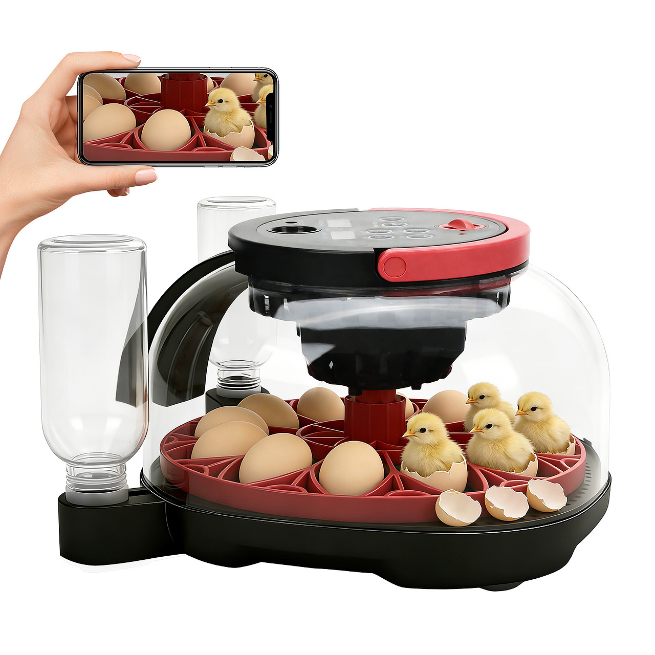 孵化器1（图ZNDAzMjIzNjUy） - 电商 - 站酷设计师winter又一年原创素材 - 站酷ZCOOL